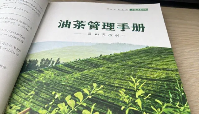 农产品收购成本控制中的选型与流程管理